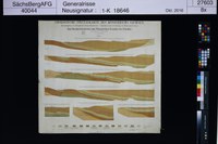 Geologische Specialkarte des Königreichs Sachsen